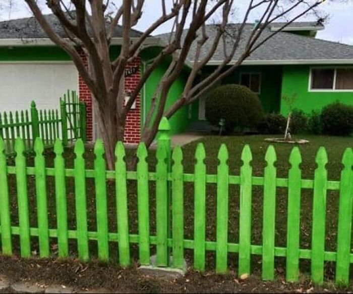 Bright green fence and house exterior with a tree in front, an example of worst real estate photos ever.