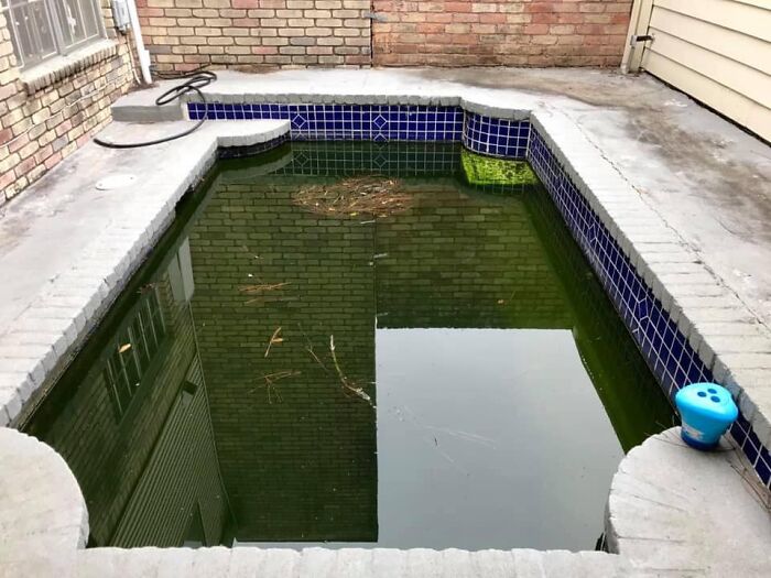Neglected small backyard pool with murky water and debris, an example of worst real estate photos ever.