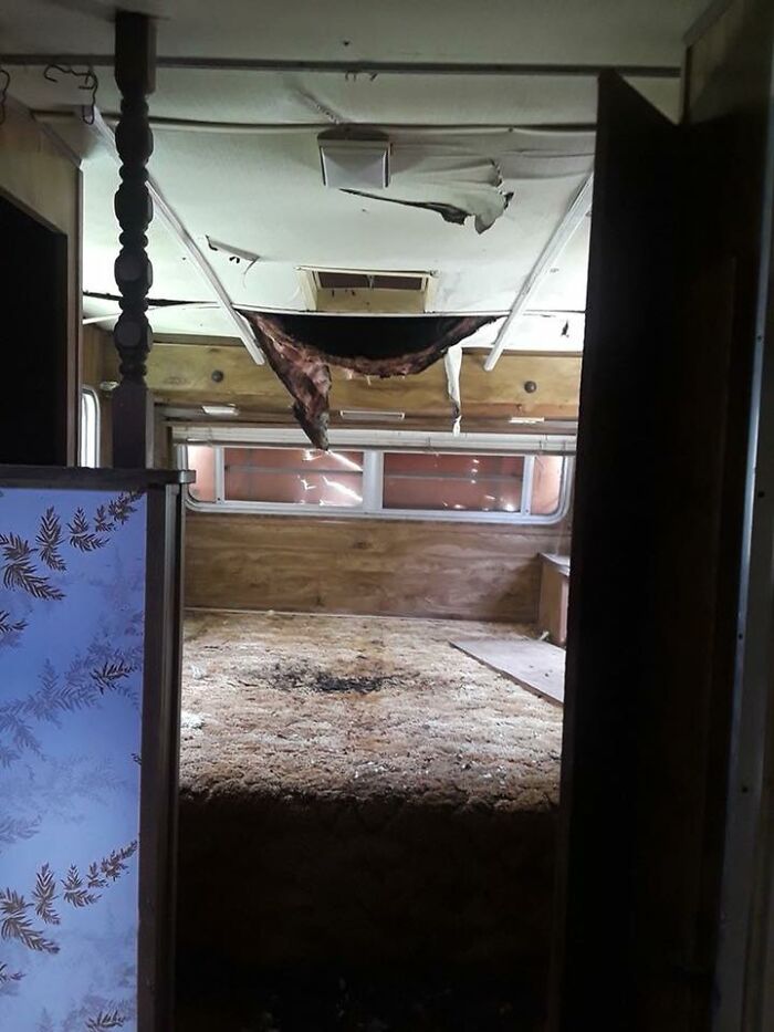 Interior of a dilapidated home with torn ceiling, stained carpet, and damaged walls showing worst real estate photos ever.