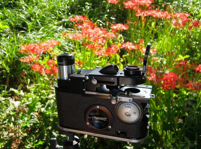 Someone Asked People The Weirdest Ways They’ve Ever Made Money, And These 40 Answers Are Wild