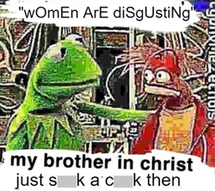 Meme featuring Kermit and another character with a misogynistic incel quote being called out by a brother.