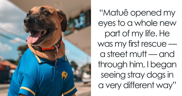 The Remarkable Story Of Matuê: From Homeless Pup To Gas Station Hero Saving Hundreds Of Dogs