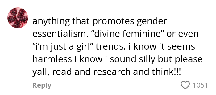 Screenshot of a social media comment warning about dangerous alt-right rabbit holes promoting gender essentialism for women.
