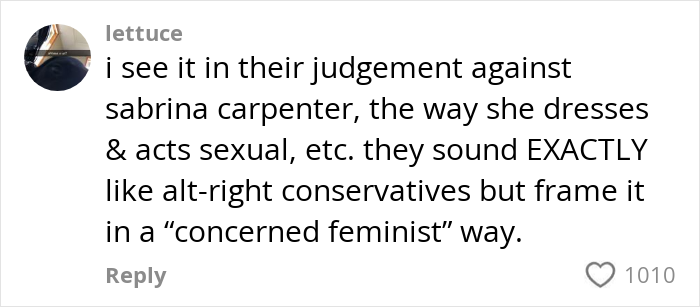 Comment discussing alt-right conservatives framed as concerned feminists, highlighting dangers for women in alt-right rabbit holes.