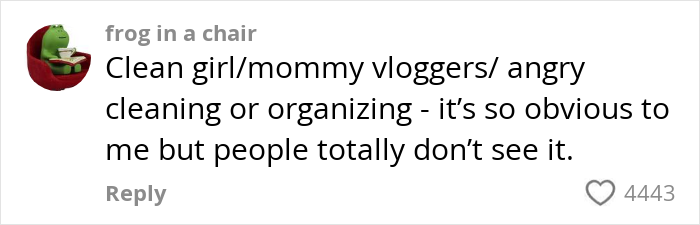 Comment from user frog in a chair discussing clean girl and mommy vloggers and their cleaning or organizing habits, with over 4400 likes.