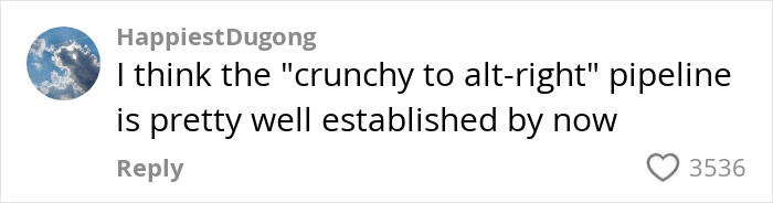 Comment stating the alt-right pipeline is well established, highlighting dangerous alt-right rabbit holes for women online.