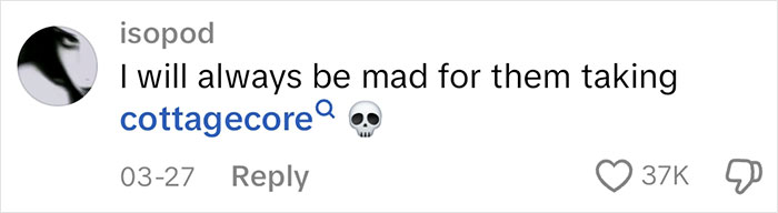 Screenshot of a social media comment discussing alt-right rabbit holes for women, showing user engagement metrics.