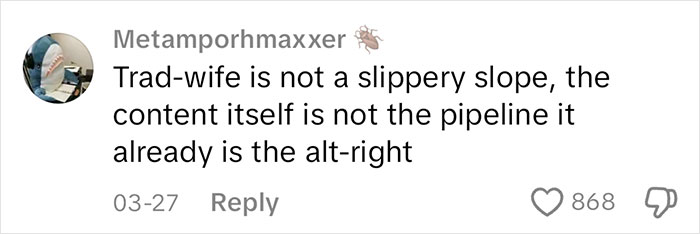 Screenshot of a social media comment discussing the dangerous alt-right rabbit holes affecting women online.