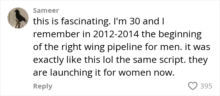 Comment by user Sameer discussing the rise of alt-right rabbit holes targeting women similar to past men's experiences.