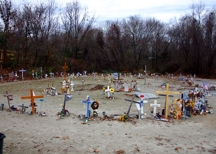 Memorial site with numerous crosses surrounded by bare trees, symbolizing things that happened in the past people research.