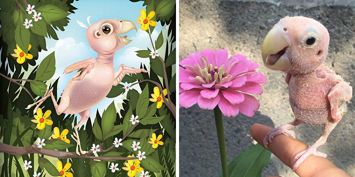 Artwork and photo of a unique pet bird depicted humorously as seen through the eyes of its human owner.