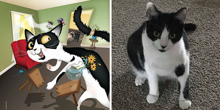 Side-by-side image of a black and white cat and its chaotic, energetic pet illustration capturing how humans see their pets.