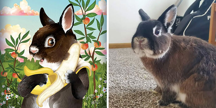Side-by-side image of a rabbit and its colorful digital portrait, showcasing pets immortalized by their humans.