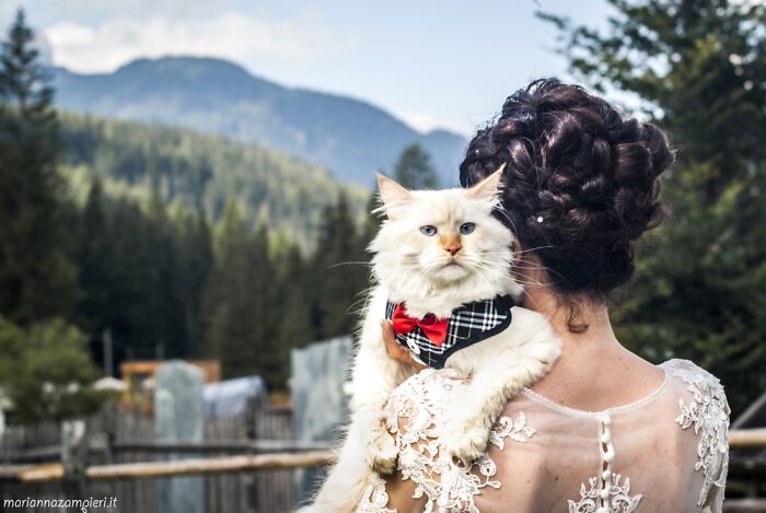 Woman holding white cat wearing a bow tie outdoors with forest and mountains in the background, showcasing cat photography.