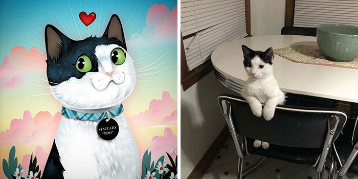 Black and white cat with large green eyes and a collar illustrated alongside a real cat sitting on a chair, pets immortalized.