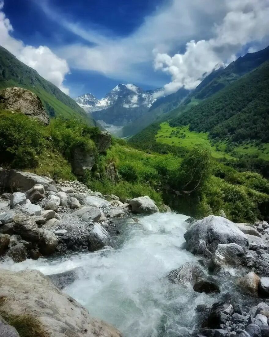 I Hiked Into India&rsquo;s Valley Of Flowers National Park Expecting Pretty Views &mdash; But I Left Completely Changed (And Slightly Obsessed With Wildflowers)