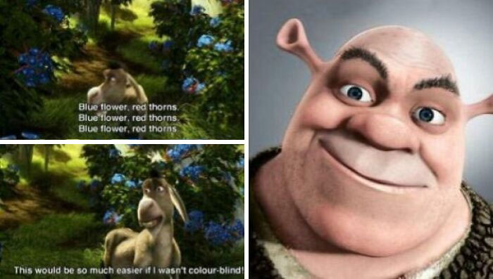 Scene from an animated movie featuring questionable movie details humorously highlighted by cinephiles online.