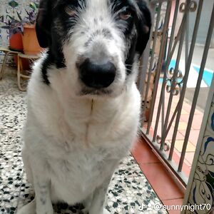 sunnynight1970 avatar