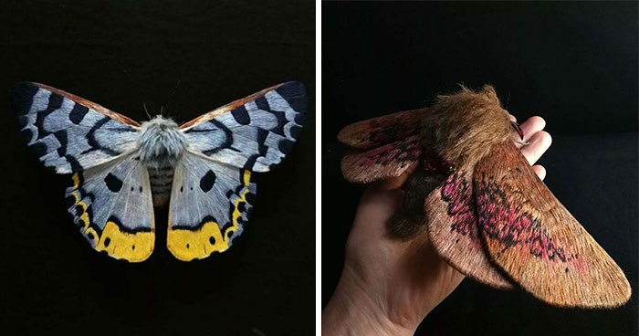 43 Incredible Hand-Sized Moths And Butterflies Made Out Of Fibers By Yumi Okita
