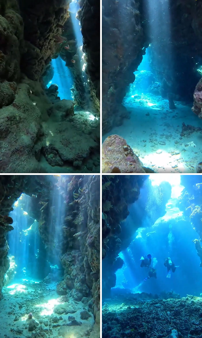 Underwater ocean caves with sunlight beams and incredible ocean creatures, including divers exploring vibrant marine life.