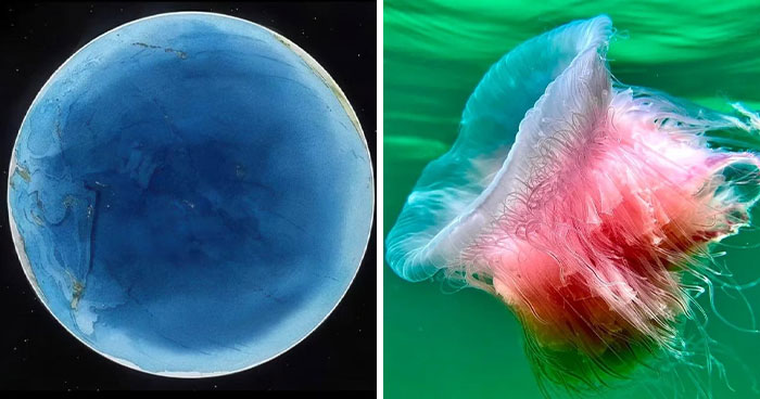 50 Photos From The Ocean That Capture Why People Are So Drawn To Its Mystery