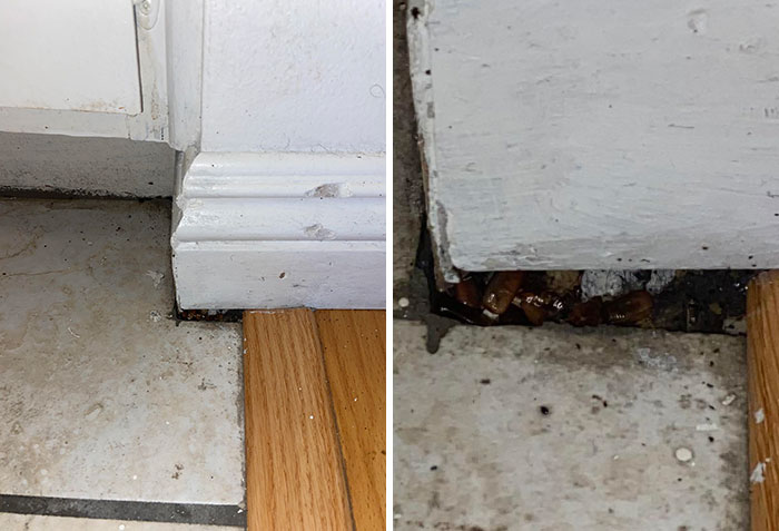 Close-up of dirty floor corners showing neglected maintenance and pest infestation in a landlord special rental unit.