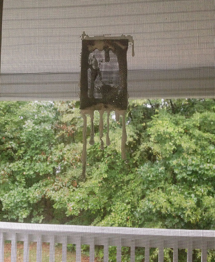 Dried, c*****d patch of spilled paint stuck to a window screen, an example of infuriating landlord specials.