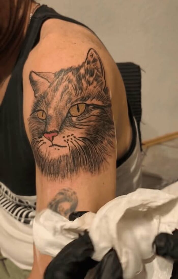 Cat tattoo on upper arm showing a detailed but imperfect inked design, an example of people getting inked to look cool.