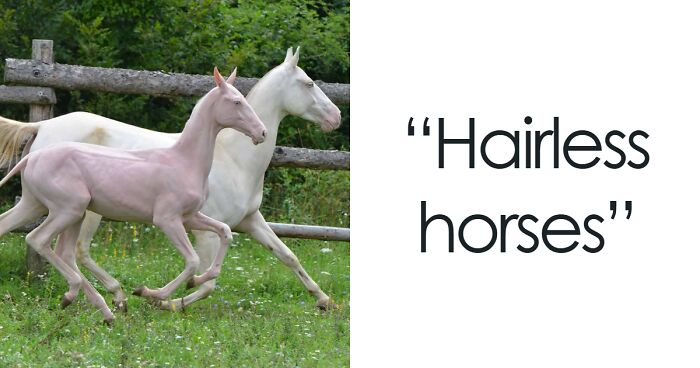 50 Interesting Pics To Make Your Day Better Or Teach You Something New