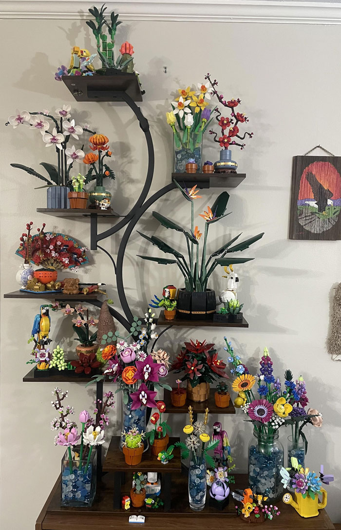 Various colorful and unusual flower and plant collections displayed on wall-mounted shelves in a home setting.