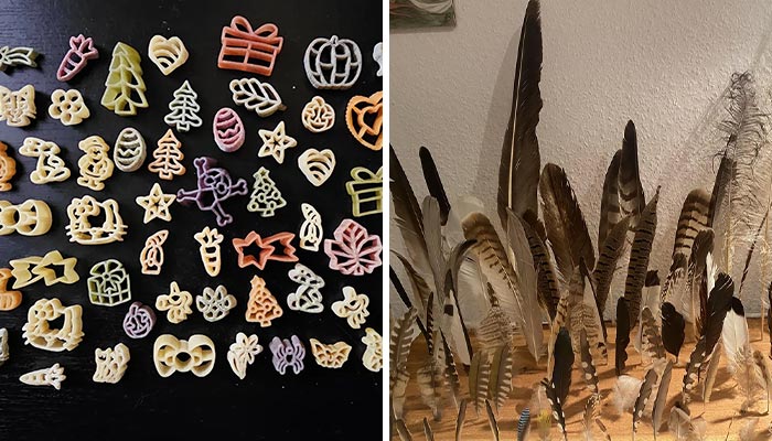 50 People Reveal Their Most Unusual Obsessions Turned Into Full-On Collections (New Pics)