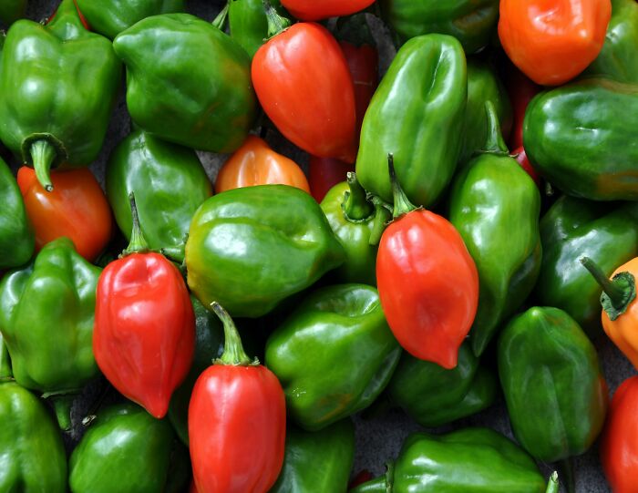 Colorful red and green peppers piled together, illustrating people share companies bad list concept with vibrant produce.