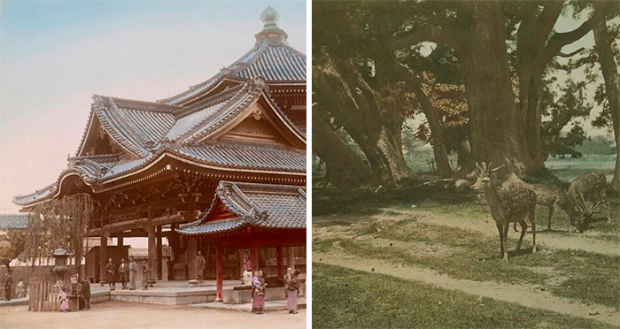 If You Wondered What Japan Looked Like In The 1800s, Here Are 40 Photos From That Time