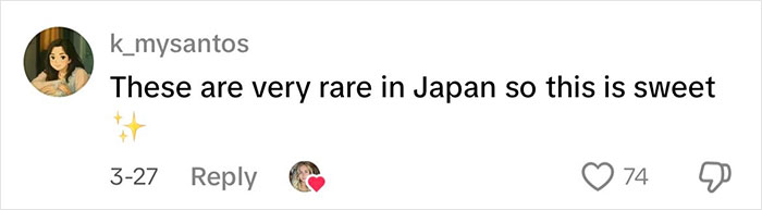 User comment on social media about a rare and sweet moment in Japan, related to a viral Japanese waitress story.