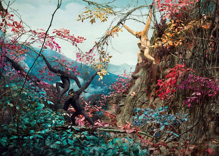 Colorful forest scene with unusual primates, showcasing beautiful but unsettling visions of the natural world by Jim Naughten.