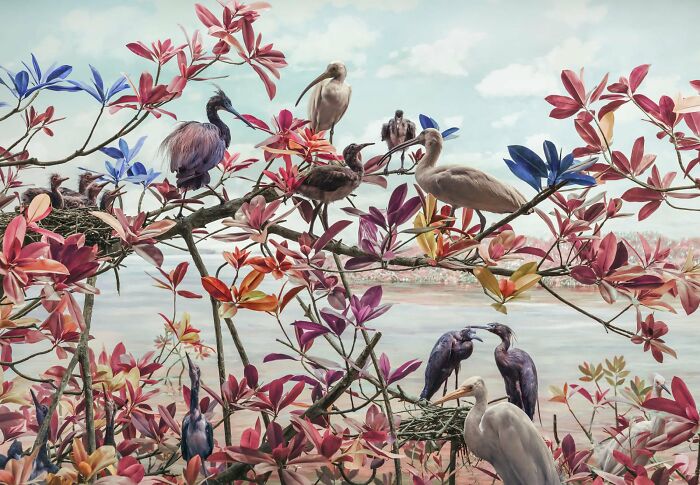 Colorful birds perched among vivid red and blue foliage in a beautiful but unsettling vision of the natural world by Jim Naughten