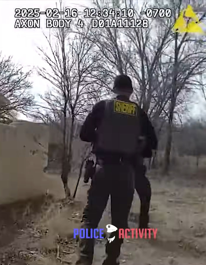 Sheriff in tactical gear walking outside near barren trees during a police activity in a wooded area. Sheriff in tactical gear walking outside near barren trees during a police activity in a wooded area.