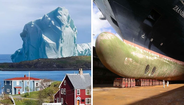 “Nope, I’m Outta Here”: 50 Terrifyingly Big Things That Make People Uncomfortable (New Pics)