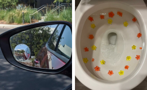 If Adulting Had an Awards Show, These 24 Products Would Sweep Every Single Category