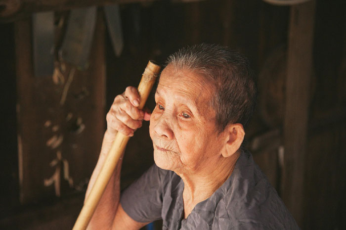 Elderly person with a walking stick, representing longevity and the longest living animal legacy predating Shakespeare.