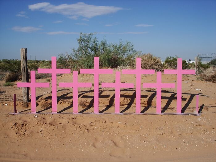 Group of pink crosses in a desert landscape representing a major event happening today not covered by mainstream media.