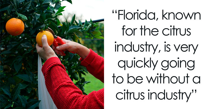 50 Stories With Massive Consequences That Are Barely Making The News