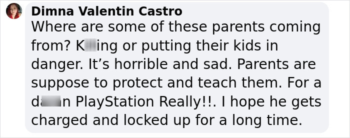 Commenter Dimna Valentin Castro expressing outrage about a man leaving a toddler in a hot car, calling for charges. Commenter Dimna Valentin Castro expressing outrage about a man leaving a toddler in a hot car, calling for charges.