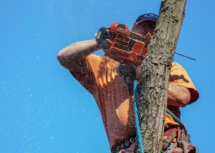 Worker using a chainsaw to cut wood outside with safety gear, related to medical field employees sharing what they would never do