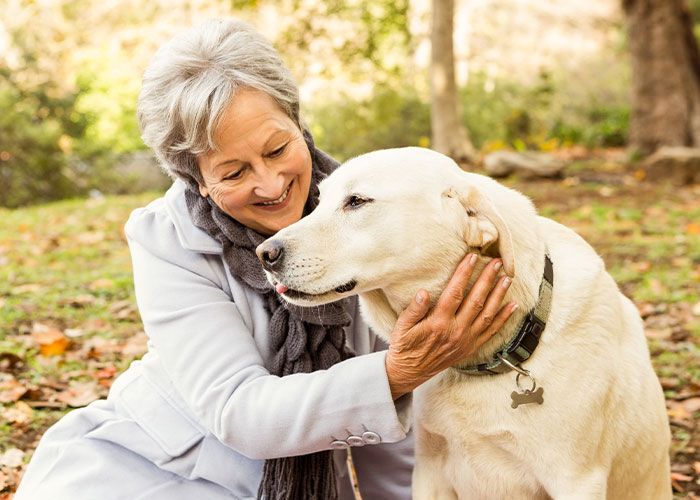 Older woman affectionately petting a large dog outdoors, relating to MIL secretly rehoming dog during couple&rsquo;s honeymoon.