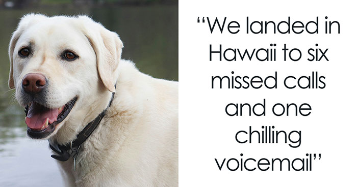 Vacation Turns To Nightmare When MIL Rehomes Couple’s Dog, They Fight Back And Press Charges