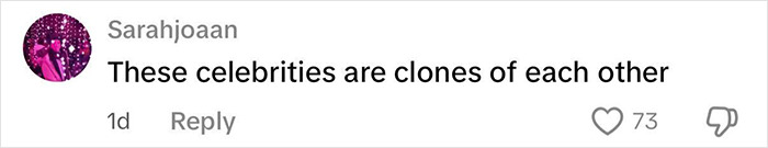 Comment on social media stating these celebrities are clones of each other, related to Miley Cyrus fans calling out Demi Lovato.