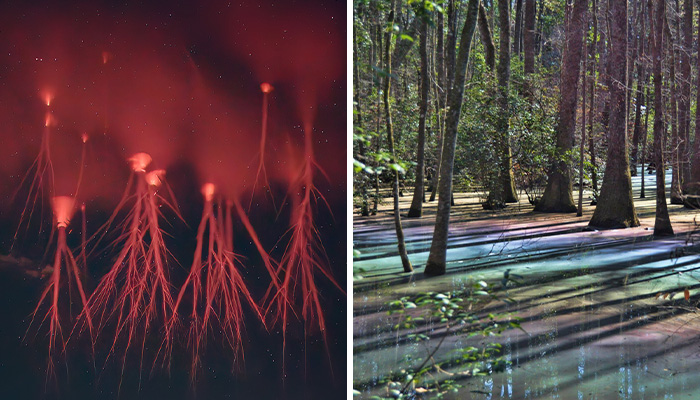 50 Pics Showing The Weird Natural Phenomena That Occur On Earth