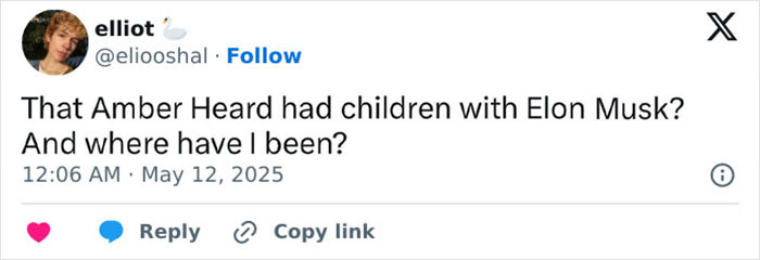 Social media post questioning if Elon Musk fathered Amber Heard’s new twins amidst embryos dispute discussion. Social media post questioning if Elon Musk fathered Amber Heard’s new twins amidst embryos dispute discussion.