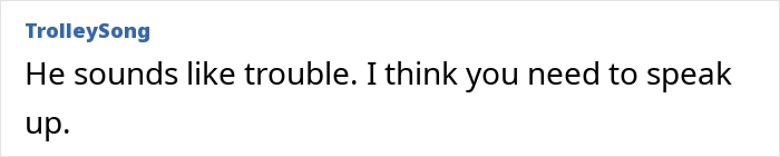 Screenshot of an online comment expressing concern about a new romance raising red flags for a grieving mom.